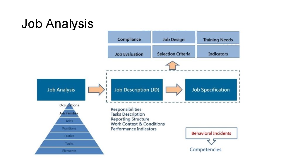 Job Analysis 