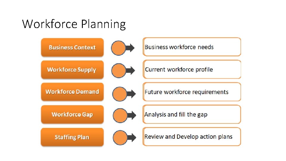 Workforce Planning 