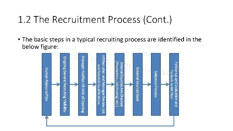 1. 2 The Recruitment Process (Cont. ) • The basic steps in a typical