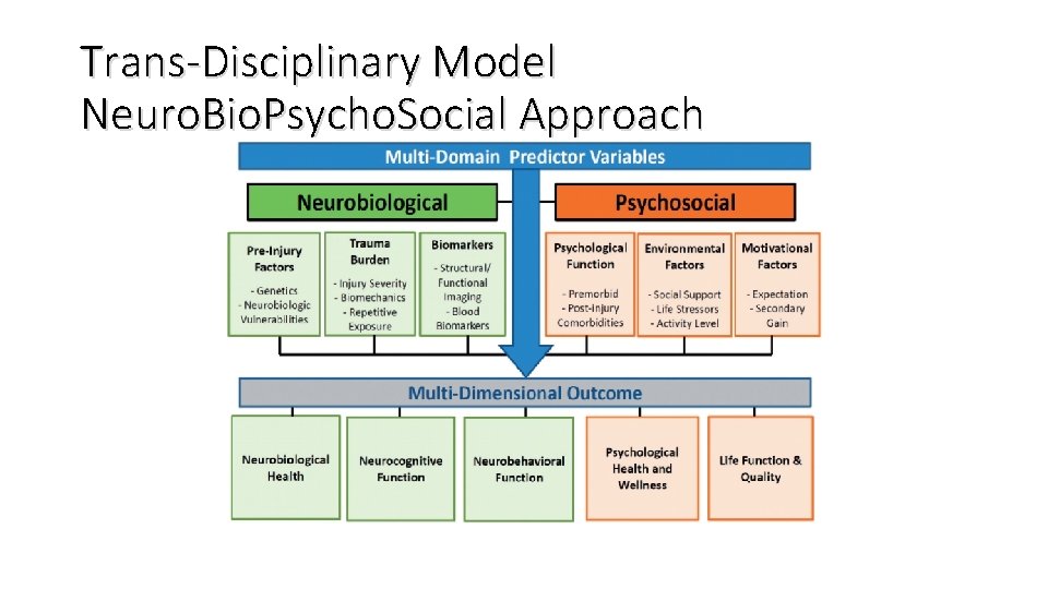 Trans-Disciplinary Model Neuro. Bio. Psycho. Social Approach 