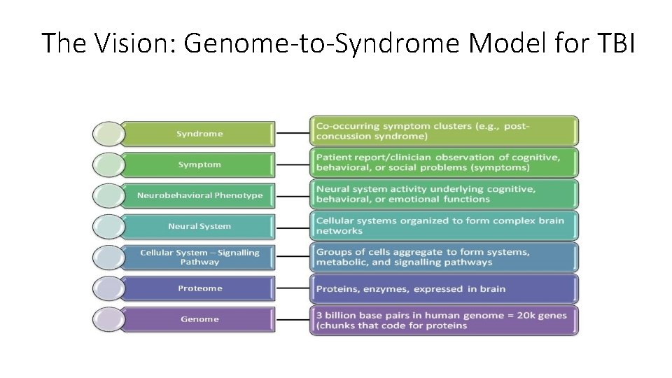 The Vision: Genome-to-Syndrome Model for TBI 