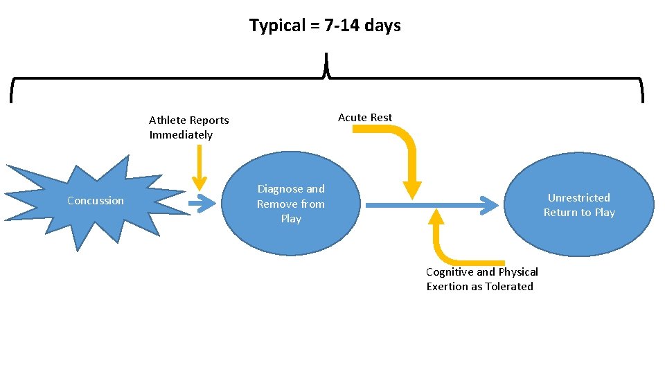 Typical = 7 -14 days Acute Rest Athlete Reports Immediately Concussion Diagnose and Remove