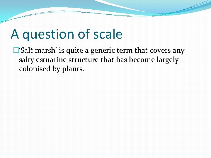 A question of scale �‘Salt marsh’ is quite a generic term that covers any