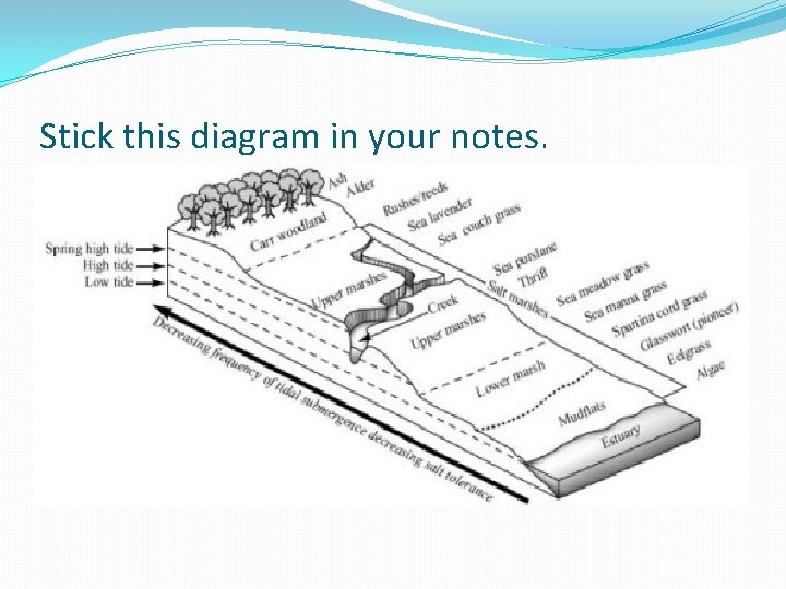 Stick this diagram in your notes. 