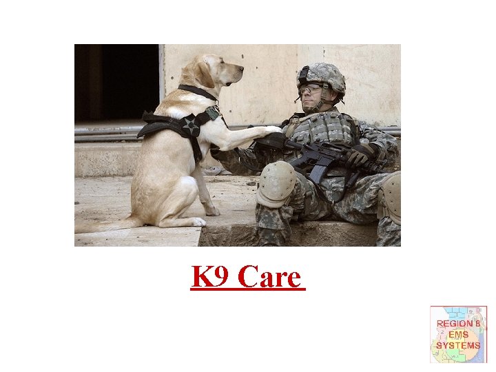 K 9 Care 