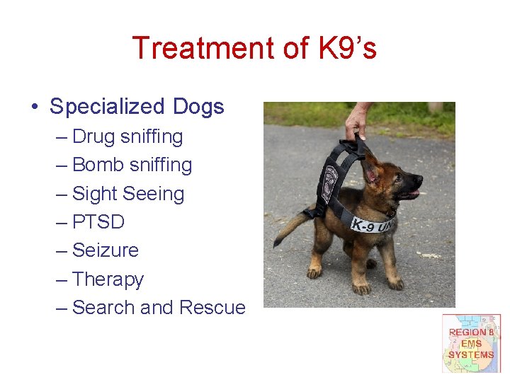 Treatment of K 9’s • Specialized Dogs – Drug sniffing – Bomb sniffing –