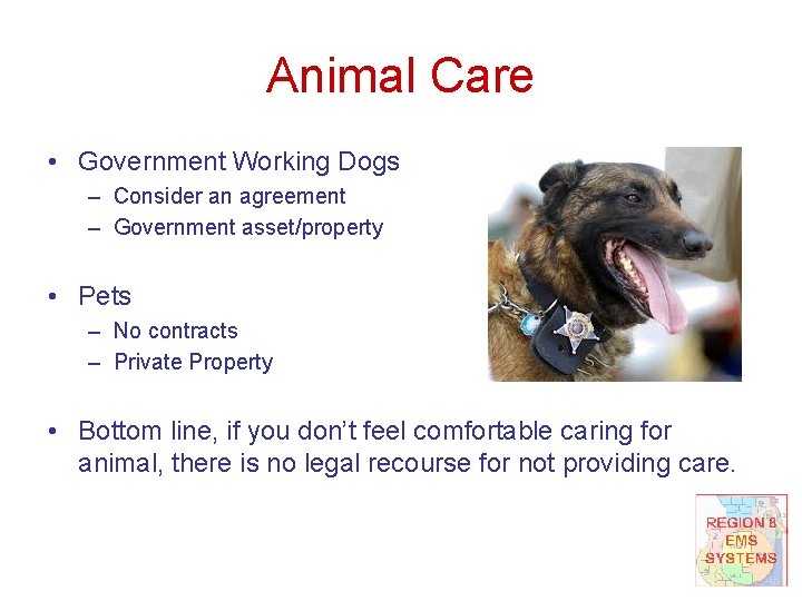 Animal Care • Government Working Dogs – Consider an agreement – Government asset/property •