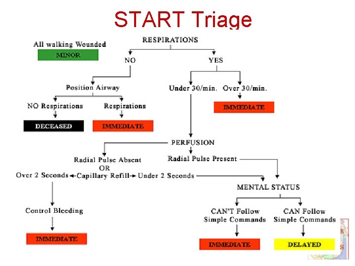 START Triage 