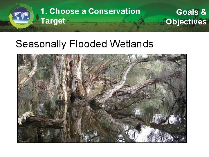 1. Choose a Conservation Target Seasonally Flooded Wetlands Goals & Objectives 