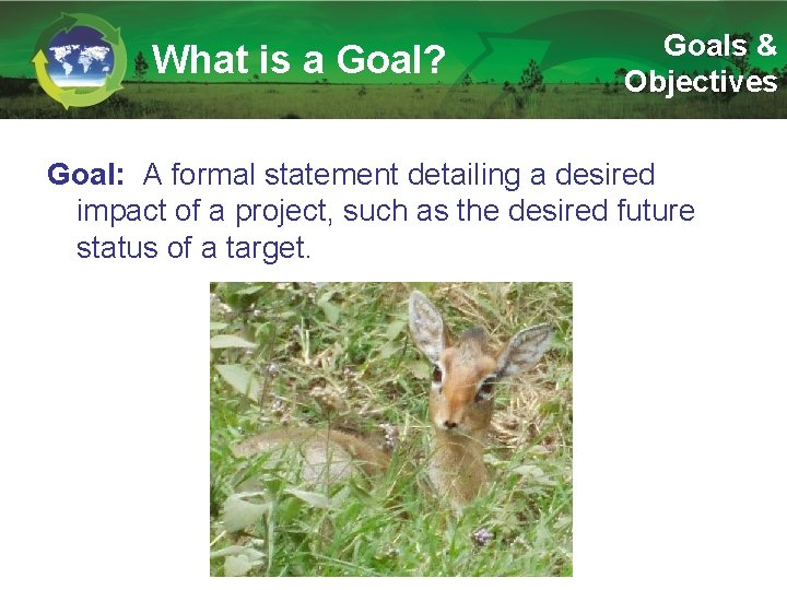 What is a Goal? Goals & Objectives Goal: A formal statement detailing a desired