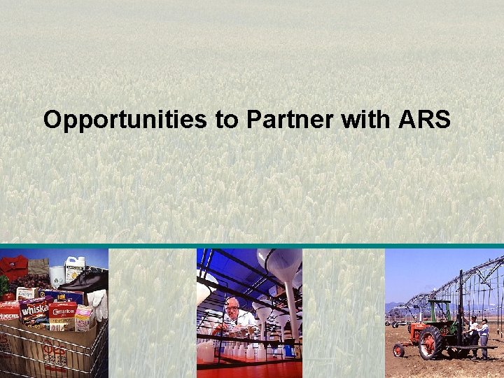 Opportunities to Partner with ARS 