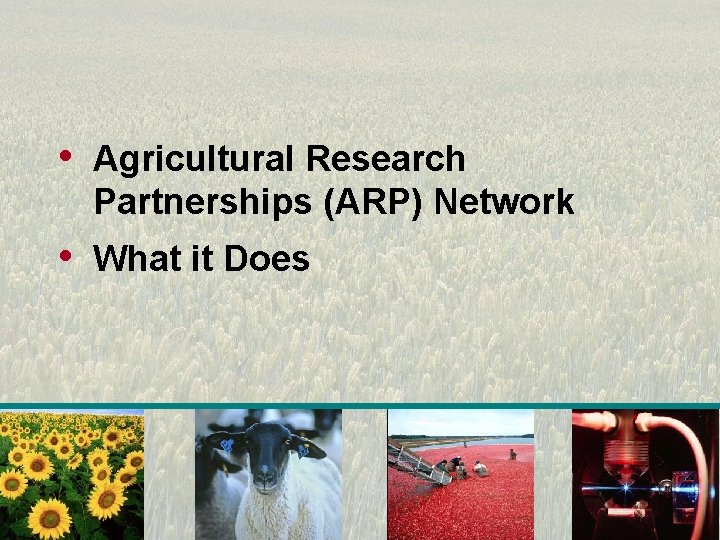  • Agricultural Research Partnerships (ARP) Network • What it Does 