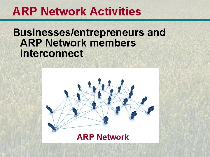 ARP Network Activities Businesses/entrepreneurs and ARP Network members interconnect ARP Network 