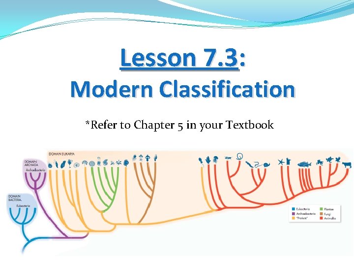 Lesson 7. 3: Modern Classification *Refer to Chapter 5 in your Textbook 