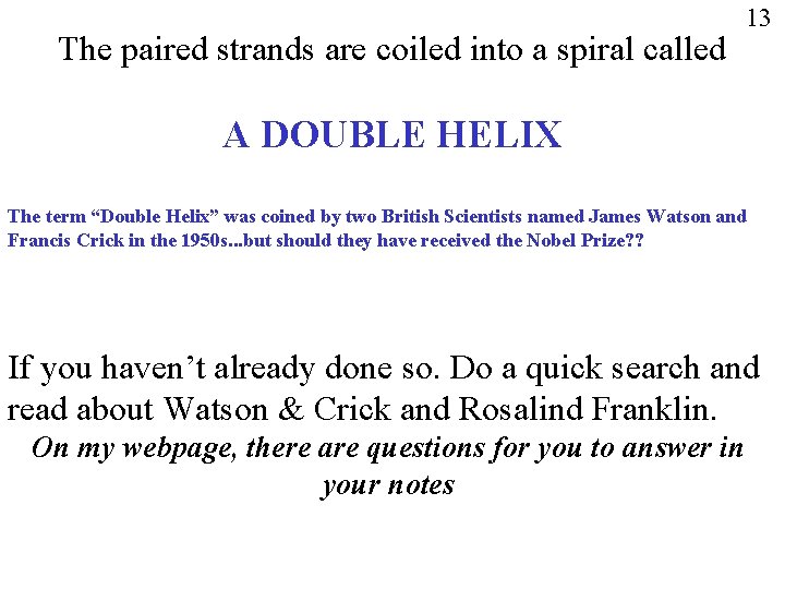The paired strands are coiled into a spiral called 13 A DOUBLE HELIX The
