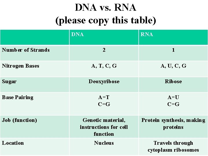DNA vs. RNA (please copy this table) DNA Number of Strands Nitrogen Bases Sugar