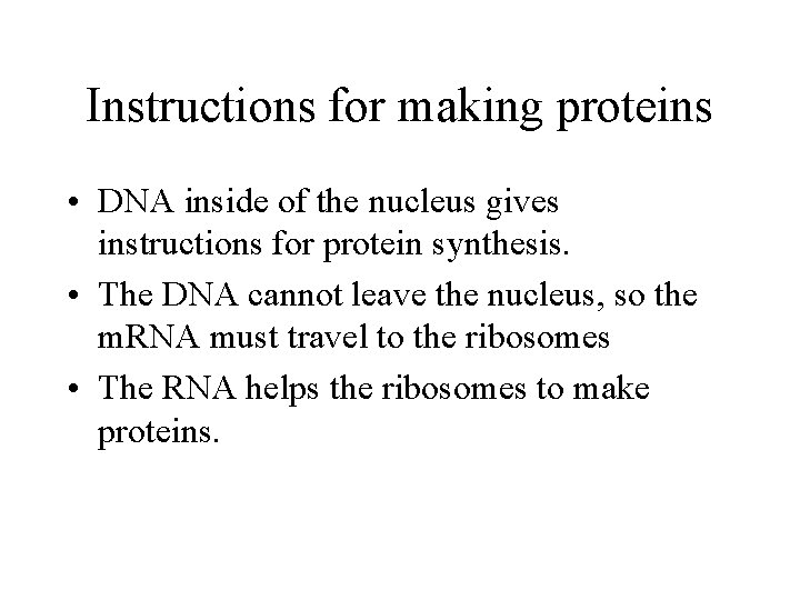 Instructions for making proteins • DNA inside of the nucleus gives instructions for protein