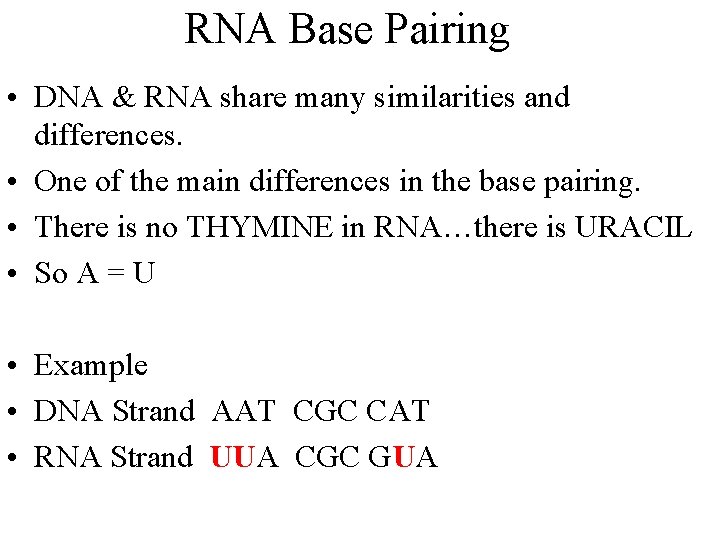 RNA Base Pairing • DNA & RNA share many similarities and differences. • One