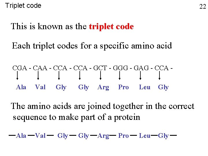 Triplet code 22 This is known as the triplet code Each triplet codes for