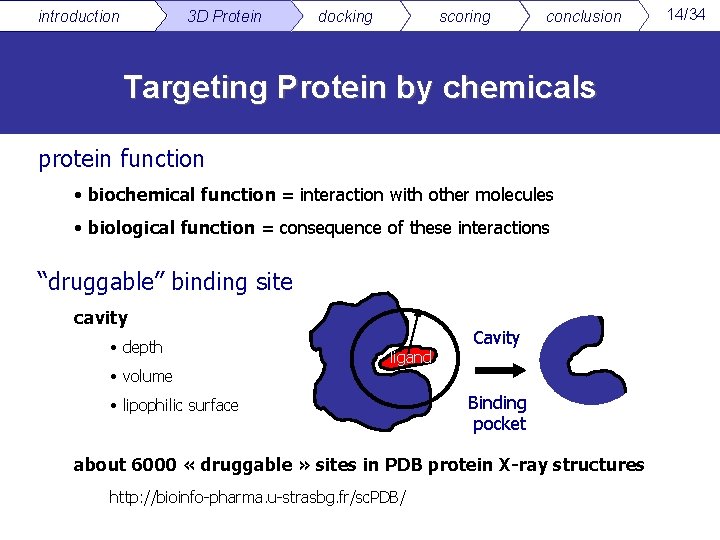 introduction 3 D Protein docking scoring conclusion Targeting Protein by chemicals protein function •