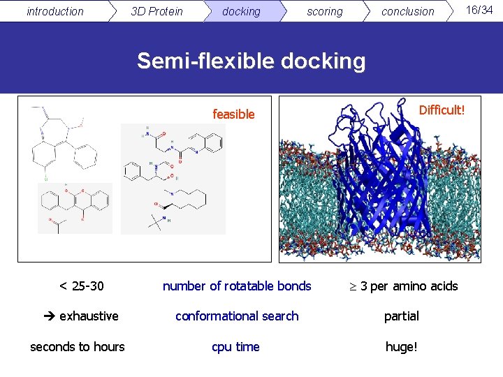 introduction 3 D Protein docking scoring conclusion Semi-flexible docking Difficult! feasible < 25 -30