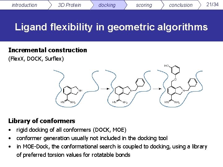 introduction 3 D Protein docking scoring conclusion 21/34 Ligand flexibility in geometric algorithms Incremental