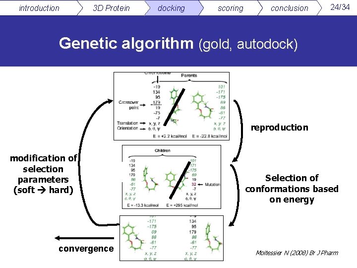 introduction 3 D Protein docking scoring conclusion 24/34 Genetic algorithm (gold, autodock) reproduction modification