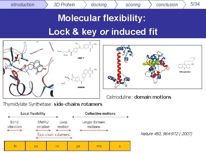 introduction 3 D Protein docking scoring conclusion 5/34 Molecular flexibility: Lock & key or