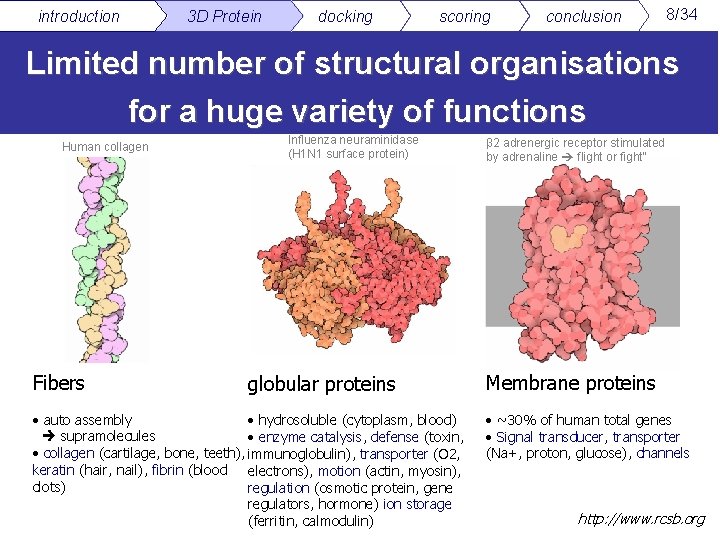 introduction 3 D Protein docking scoring conclusion 8/34 Limited number of structural organisations for