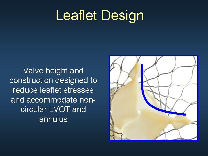 Leaflet Design Valve height and construction designed to reduce leaflet stresses and accommodate noncircular