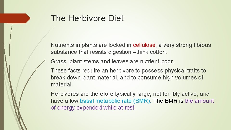 The Herbivore Diet Nutrients in plants are locked in cellulose, a very strong fibrous