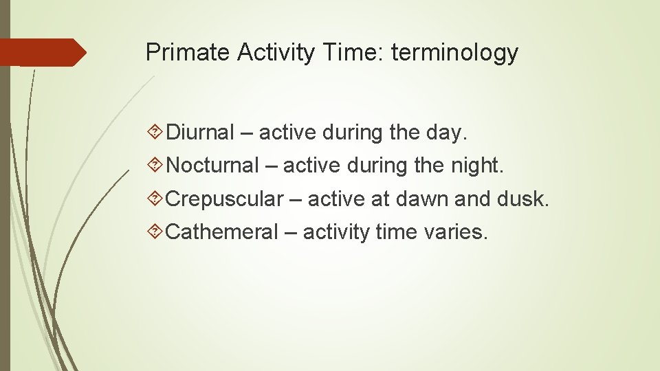 Primate Activity Time: terminology Diurnal – active during the day. Nocturnal – active during