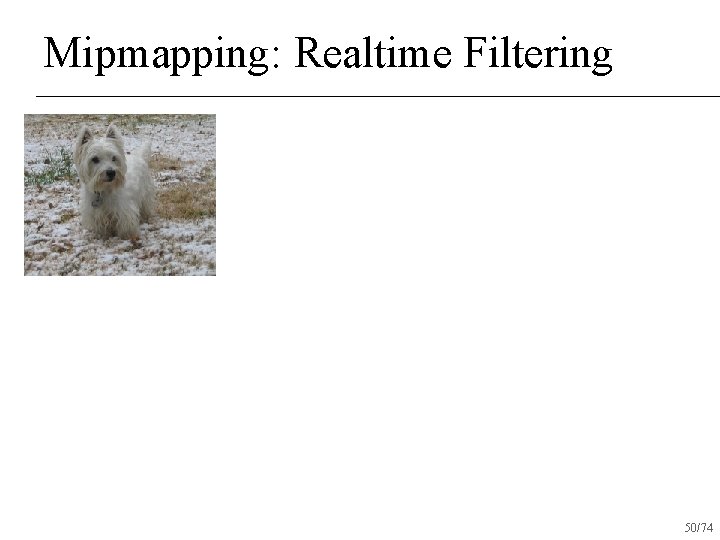 Mipmapping: Realtime Filtering 50/74 