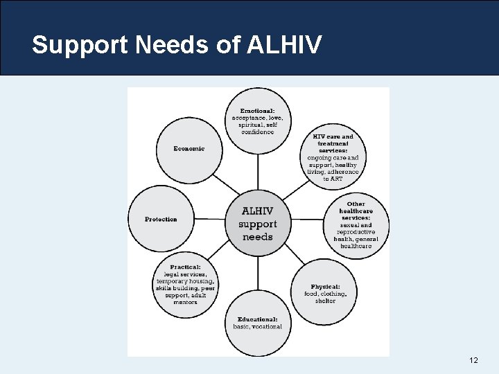 Support Needs of ALHIV 12 