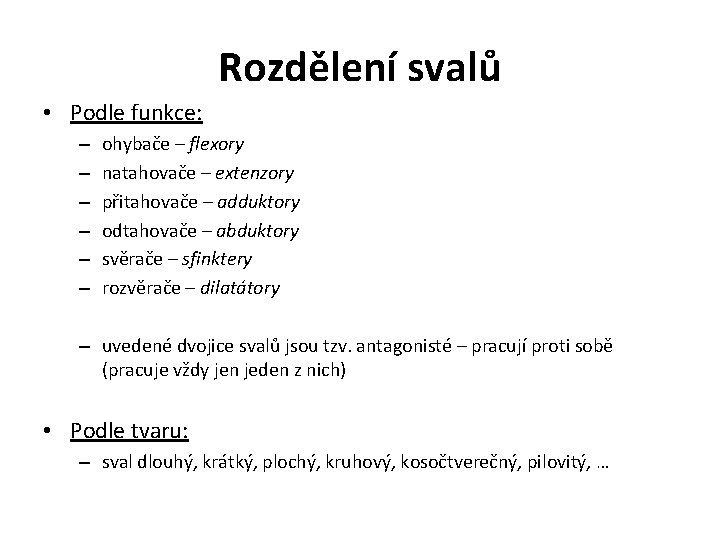 Rozdělení svalů • Podle funkce: – – – ohybače – flexory natahovače – extenzory