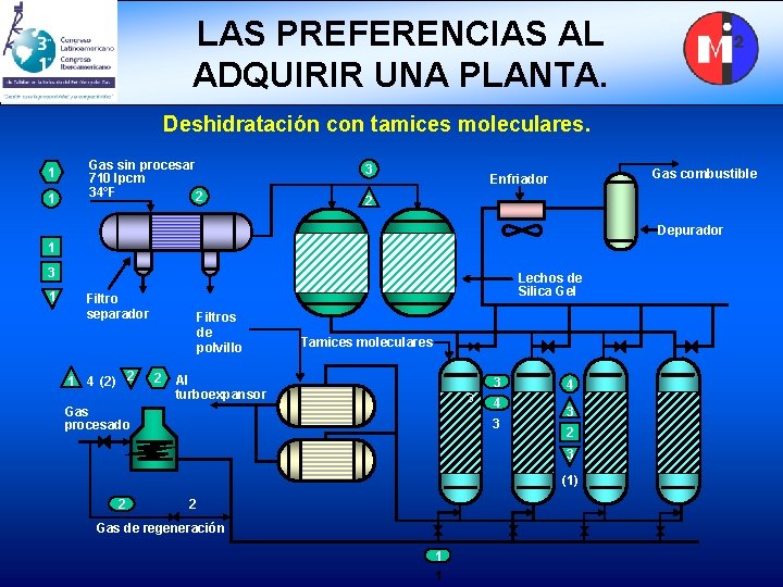LAS PREFERENCIAS AL ADQUIRIR UNA PLANTA. Deshidratación con tamices moleculares. 1 1 Gas sin