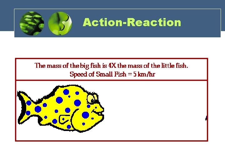 Action-Reaction 