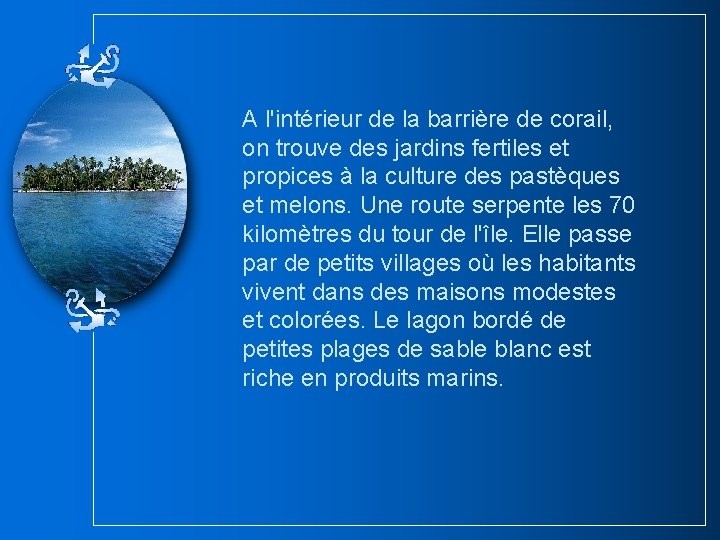 A l'intérieur de la barrière de corail, on trouve des jardins fertiles et propices A l'intérieur de la barrière de corail, on trouve des jardins fertiles et propices