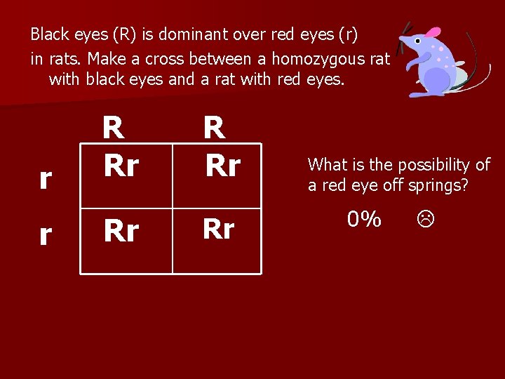 Black eyes (R) is dominant over red eyes (r) in rats. Make a cross