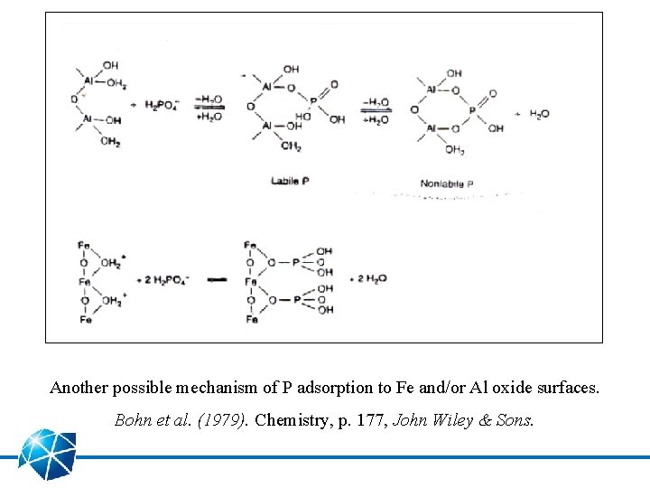 Another possible mechanism of P adsorption to Fe and/or Al oxide surfaces. Bohn et