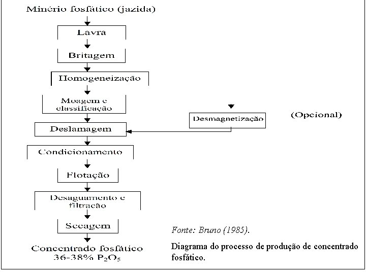 Fonte: Bruno (1985). Diagrama do processo de produção de concentrado fosfático. 