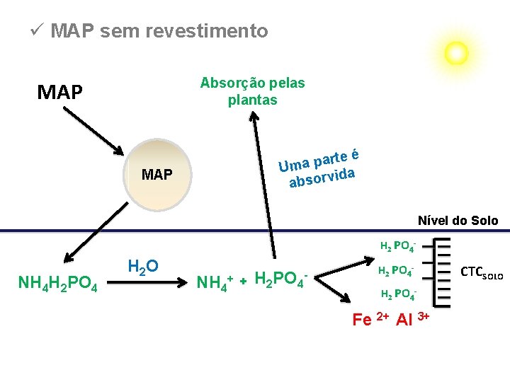 ü MAP sem revestimento Absorção pelas plantas MAP rte é a p a Um