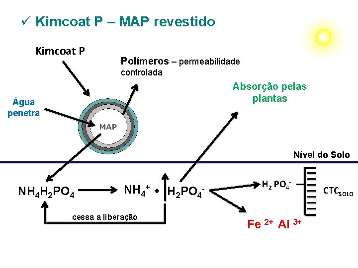 ü Kimcoat P – MAP revestido Kimcoat P Polímeros – permeabilidade controlada Absorção pelas