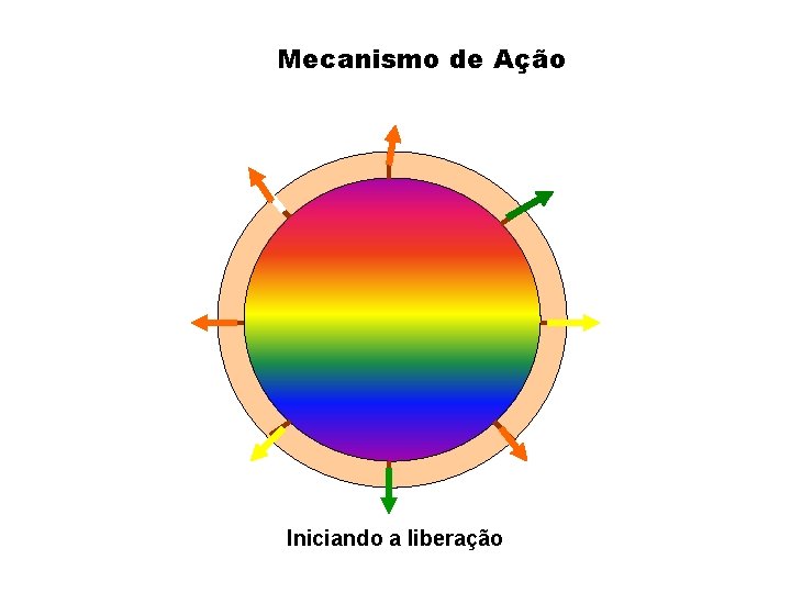 Mecanismo de Ação Iniciando a liberação 