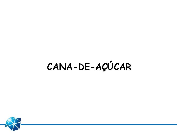 CANA-DE-AÇÚCAR 