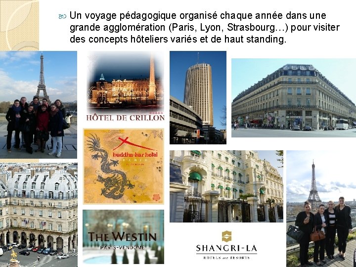  Un voyage pédagogique organisé chaque année dans une grande agglomération (Paris, Lyon, Strasbourg…)