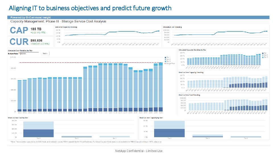 Aligning IT to business objectives and predict future growth Net. App Confidential - Limited