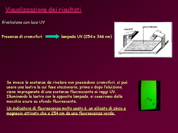 Visualizzazione dei risultati Rivelazione con luce UV Presenza di cromofori lampada UV (254 e Visualizzazione dei risultati Rivelazione con luce UV Presenza di cromofori lampada UV (254 e
