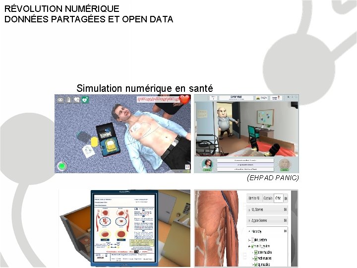 RÉVOLUTION NUMÉRIQUE DONNÉES PARTAGÉES ET OPEN DATA Simulation numérique en santé (EHPAD PANIC) 