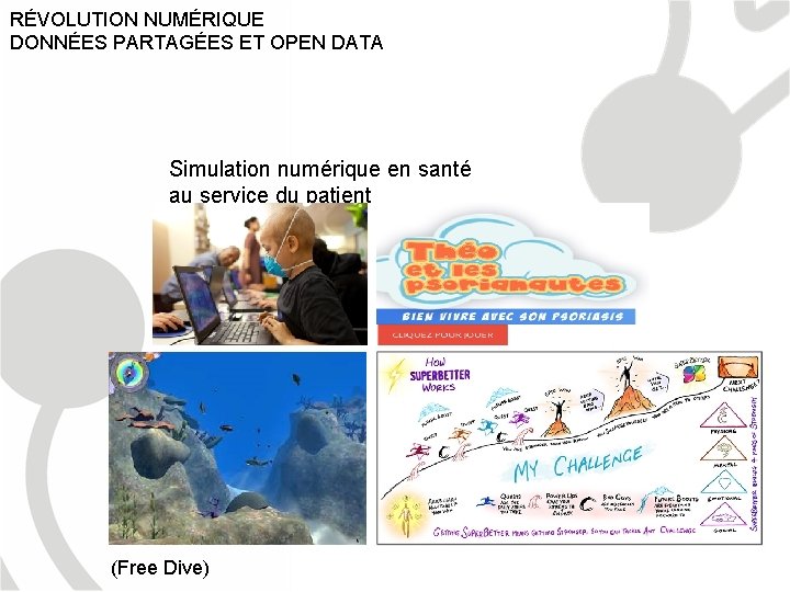 RÉVOLUTION NUMÉRIQUE DONNÉES PARTAGÉES ET OPEN DATA Simulation numérique en santé au service du